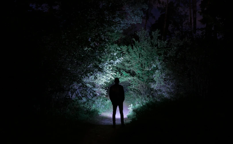a person standing in the middle of a forest at night, single light, led, medium lighting, spotlighting