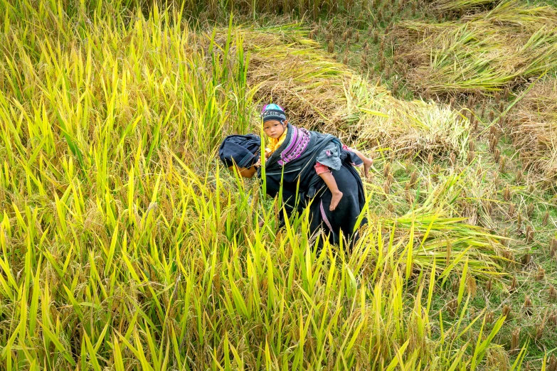 a woman walking through a field of tall grass, flickr, sumatraism, carrying big sack, thumbnail, portait image, vietnam