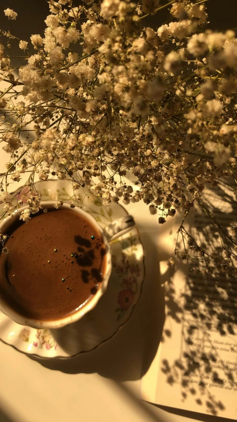 a cup of coffee sitting on top of a saucer, an album cover, inspired by Elsa Bleda, hurufiyya, under the soft shadow of a tree, brown flowers, morning sun - rays, today\'s featured photograph 4k