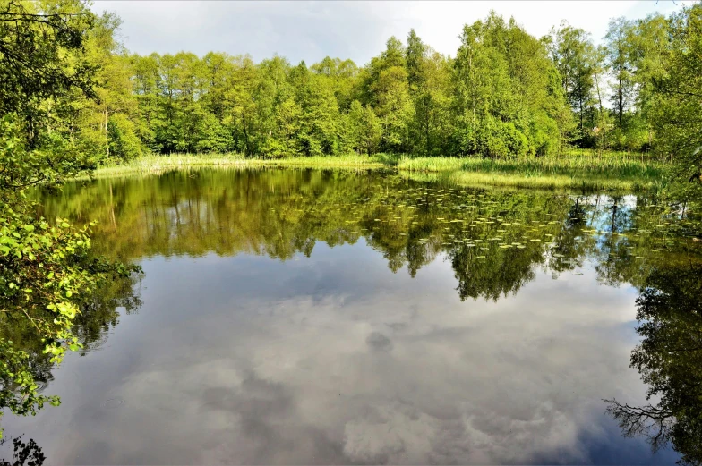 a large body of water surrounded by trees, by Grytė Pintukaitė, tourist photo, tarmo juhola, ponds, today\'s featured photograph 4k