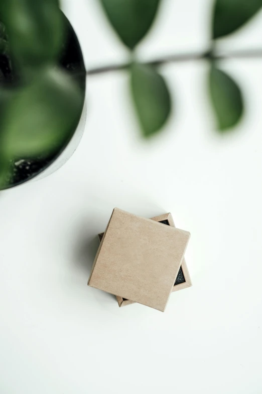 a small box sitting on top of a table next to a plant, trending on pexels, taupe, stacked image, top-down view, made of cardboard