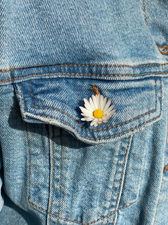 a daisy sits in the back pocket of a jean jacket, inspired by Elsa Bleda, trending on unsplash, photorealism, 1990s photograph, ilustration, 1990 photograph, detailed product image