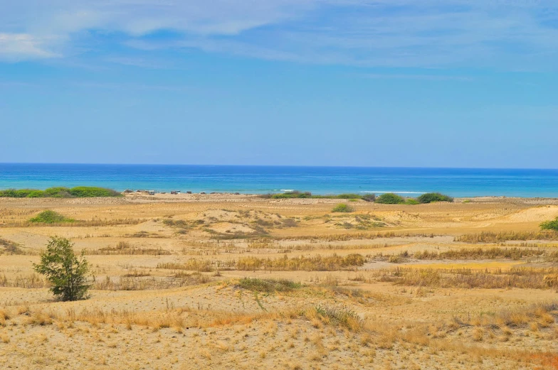 a view of the ocean from the top of a hill, unsplash, land art, somalia, dunes in the background, varadero beach, an expansive grassy plain