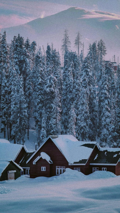 a couple of houses that are in the snow, inspired by Elsa Bleda, pexels contest winner, photorealism, giant sequoia, ektachrome color photograph, hi-res, predawn