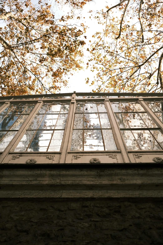 a window that is on the side of a building, an album cover, unsplash, art nouveau, autum, glass ceilings, berghain, botanic garden