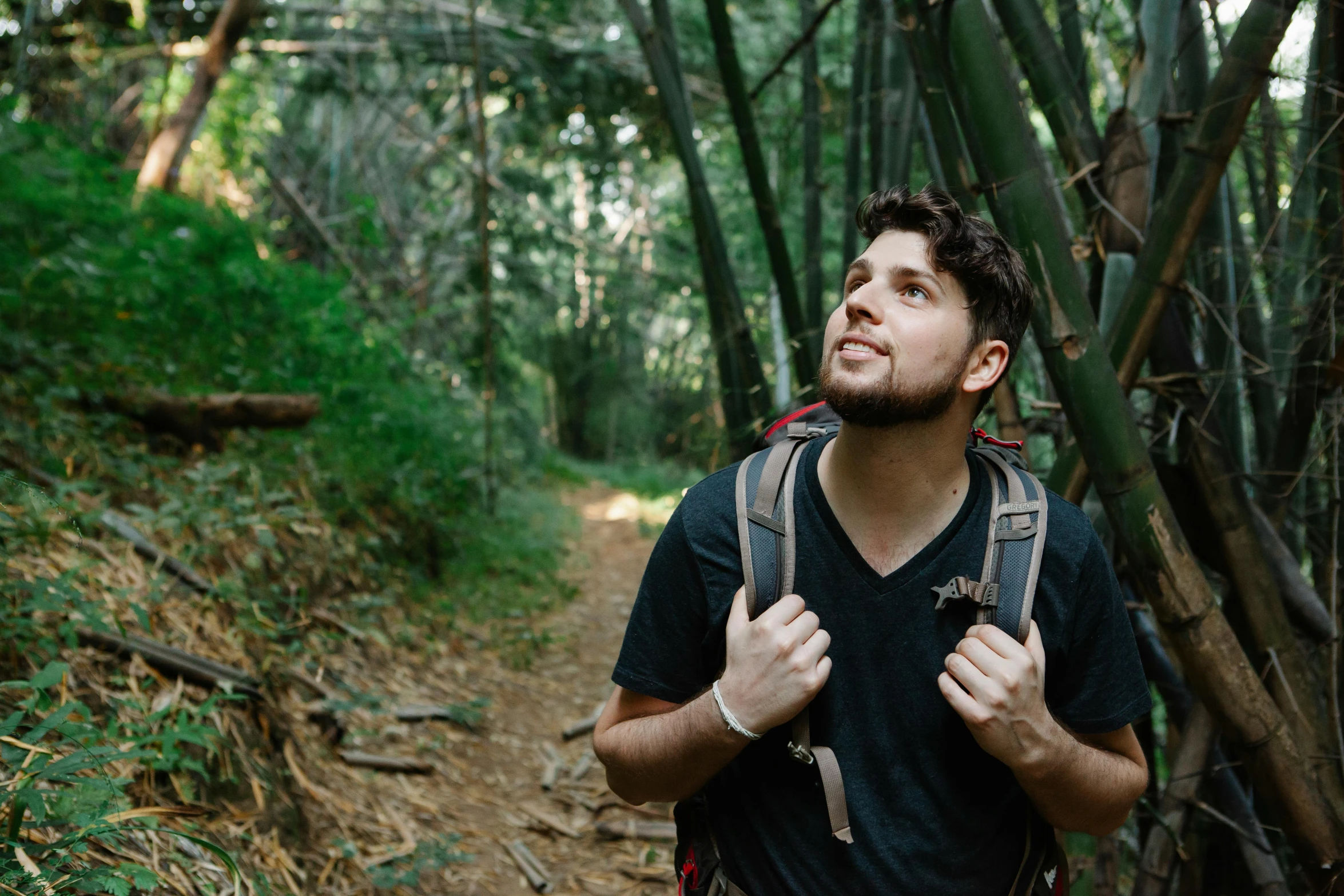 a man with a backpack standing in the woods, a portrait, pexels contest winner, renaissance, bamboo, avatar image, jontron, zachary corzine