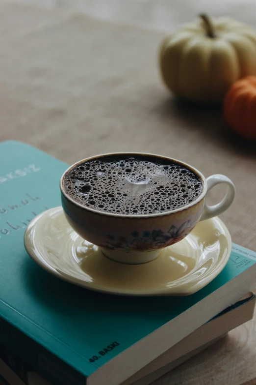 a cup of coffee sitting on top of a stack of books, by Jang Seung-eop, pexels contest winner, hot cocoa drink, brown and cyan blue color scheme, during autumn, sitting on a mocha-colored table