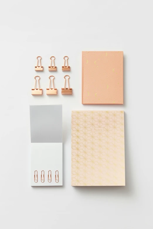 an assortment of office supplies on a white surface, inspired by Eden Box, rose gold, subtle pattern, archive material, product introduction photo