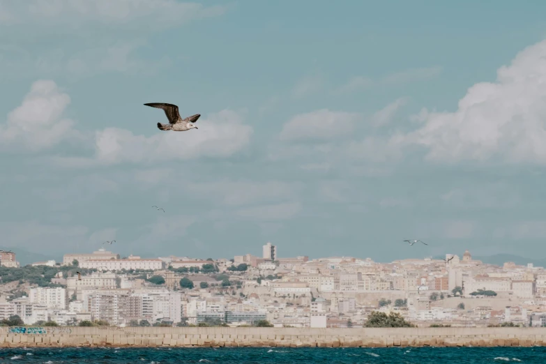 a bird flying over a large body of water, by Romain brook, pexels contest winner, figuration libre, the city of lisbon, view from the ground, demna gvasalia, 15081959 21121991 01012000 4k