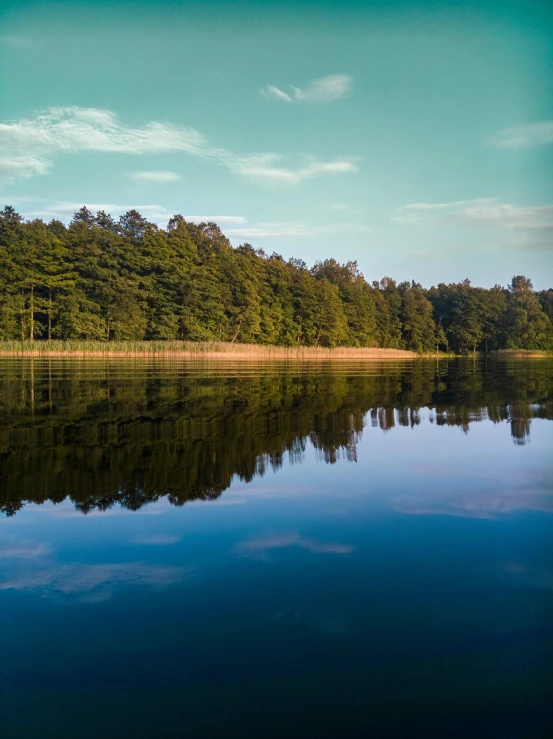 a large body of water surrounded by trees, a picture, pexels contest winner, summer afternoon, blue reflections, slide show, minn