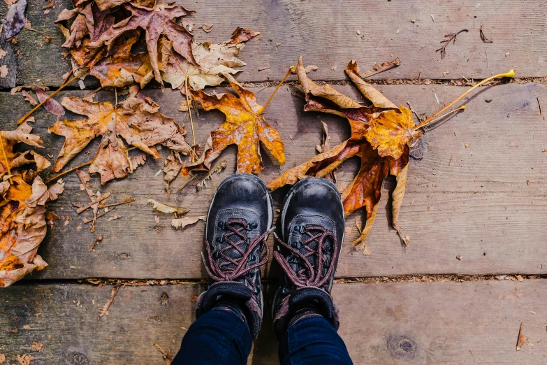 a person standing on top of a wooden floor covered in leaves, by Lucia Peka, pexels contest winner, doc marten boots, thumbnail, seasonal, multiple stories