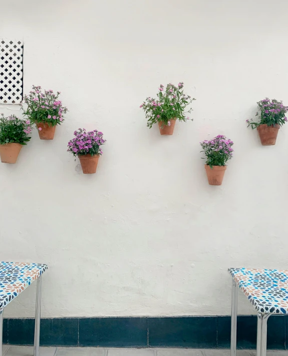 a couple of benches sitting next to each other, a mosaic, by Gavin Hamilton, unsplash, plants on pots and on the walls, white background and fill, taken on iphone 14 pro, polka dot