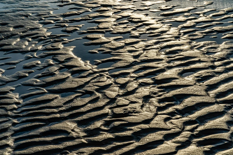 a large body of water sitting on top of a sandy beach, inspired by Vija Celmins, unsplash, land art, tessellation, evening sunlight, wet asphalt, thumbnail