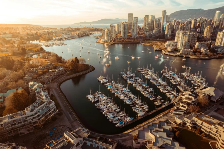 a harbor filled with lots of boats next to tall buildings, pexels contest winner, vancouver school, aerial, profile image, warm glow, thumbnail