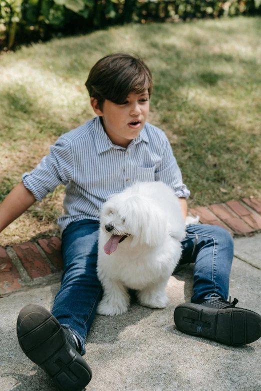 a young boy sitting on the ground with a white dog, bio-inspired, havanese dog, on sidewalk, bixbite