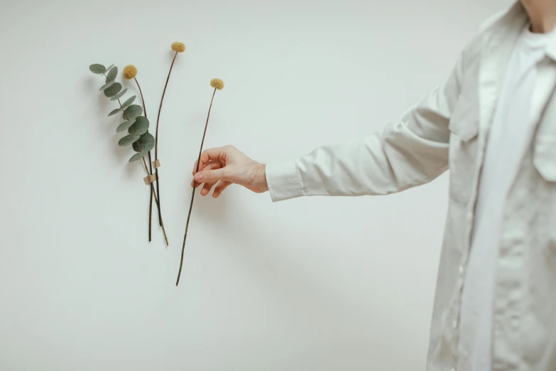 a person standing in front of a wall holding a bunch of flowers, unsplash, postminimalism, ikebana, white lab coat, single long stick, miniature product photo