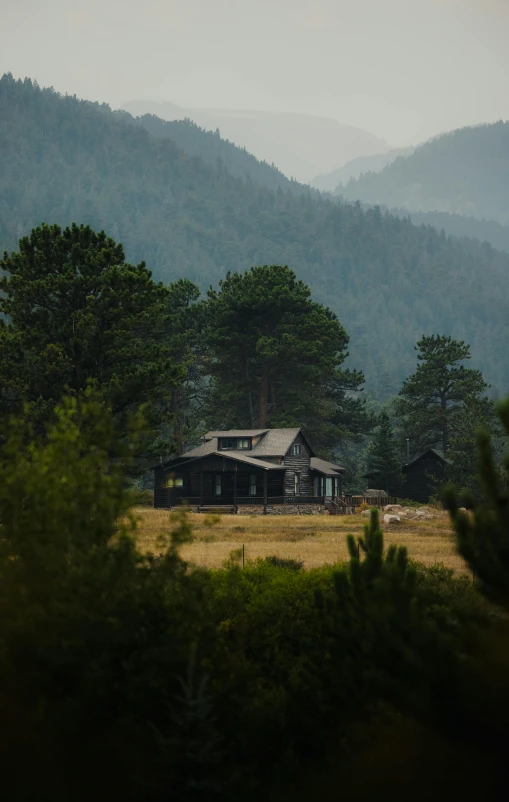 a house sitting on top of a lush green hillside, by Jessie Algie, unsplash contest winner, dark pine trees, montana, huts, profile image