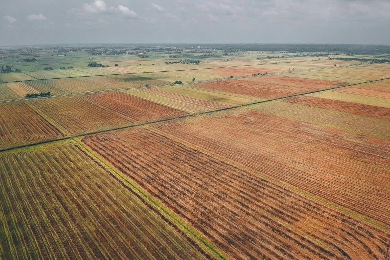 an aerial view of a field of crops, an album cover, unsplash contest winner, cuba, photorealist, ground angle hd 8 k, 2 5 6 x 2 5 6 pixels