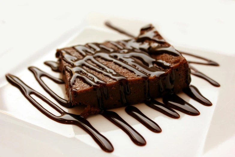 a piece of chocolate cake sitting on top of a white plate, offering a plate of food, square, food, cuisine