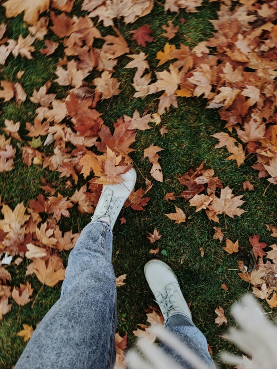 a person standing on top of a lush green field covered in leaves, fall leaves on the floor, wearing white sneakers, instagram story, 15081959 21121991 01012000 4k