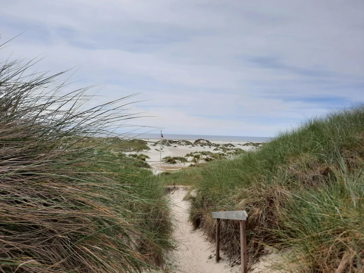 a path in the sand leading to the beach, by Daniel Lieske, happening, square, long grass in the foreground, hammershøi, background image