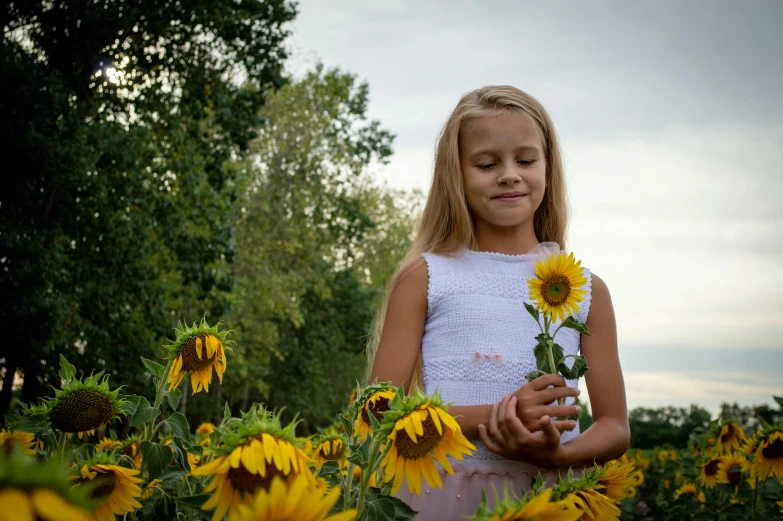 a little girl standing in a field of sunflowers, by Linda Sutton, pexels contest winner, avatar image, fan favorite, handsome girl, miro petrov