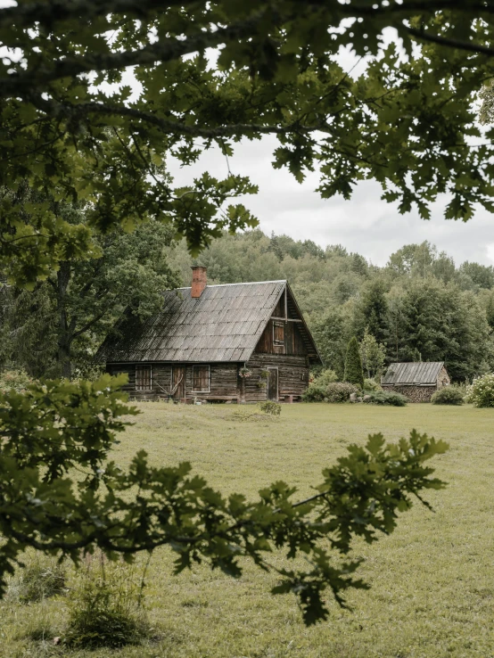 a couple of wooden buildings sitting on top of a lush green field, by Emma Andijewska, pexels contest winner, old vintage photo, cottage in the forest, poland, tarkovsky