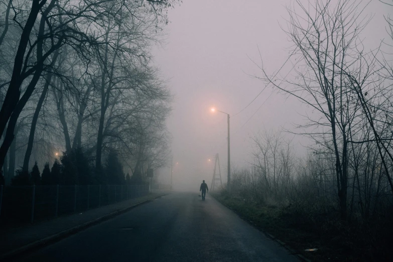 a person walking down a road on a foggy day, a picture, inspired by Elsa Bleda, pexels contest winner, romanticism, it's getting dark, standing in a township street, lonely rider, from horror movies