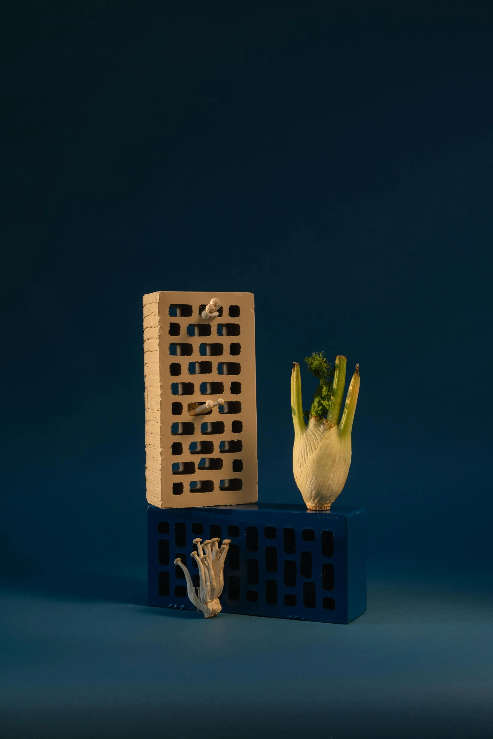 a wooden block with a plant growing out of it, inspired by Ceferí Olivé, assemblage, two organic looking towers, in blueprint form, snacks, sleek hands