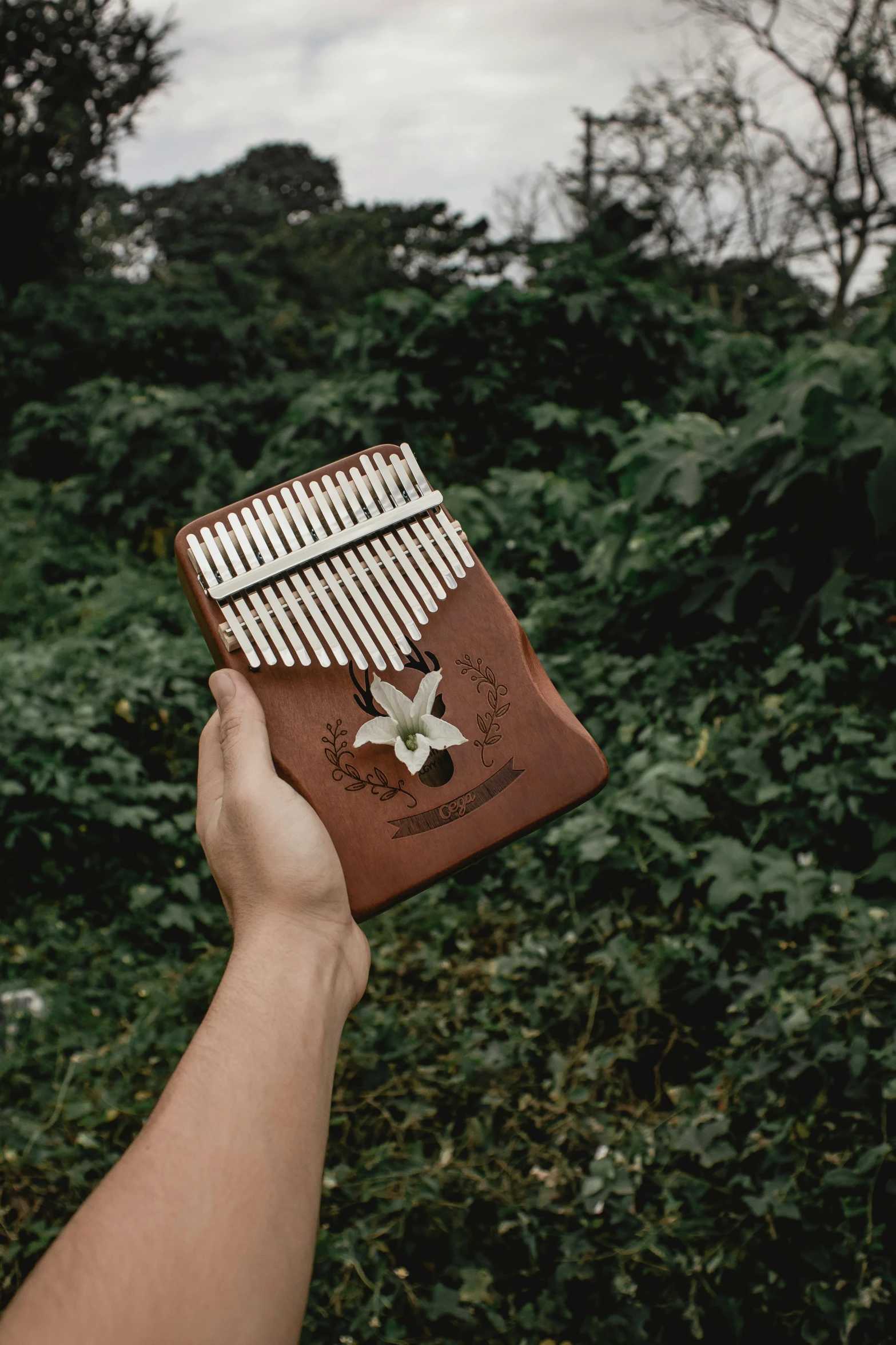 a person holding a musical instrument in their hand, an album cover, inspired by Bryan Organ, pexels contest winner, botanical herbarium, indonesia, leather pouch, outdoor