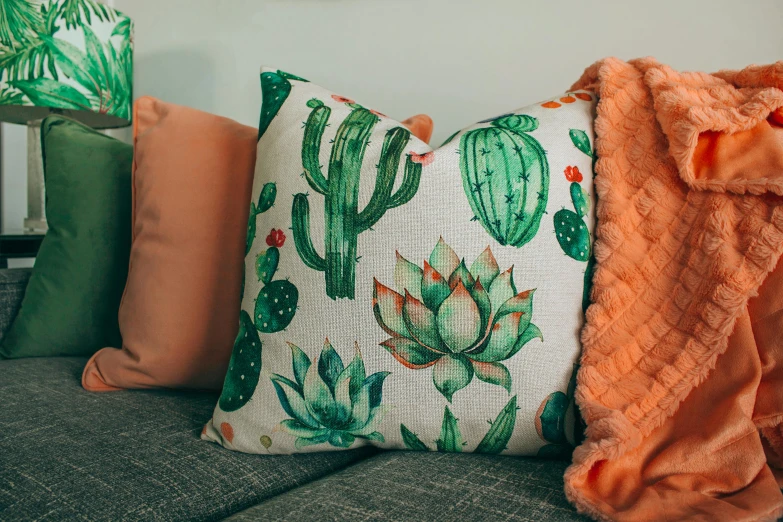 a couple of pillows sitting on top of a couch, by Carey Morris, trending on pexels, cactus, orange hue, teenager hangout spot, green and pink