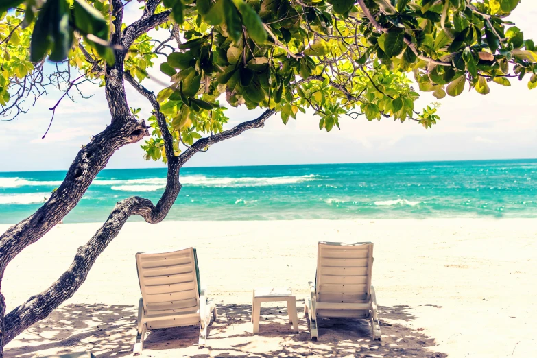 two lawn chairs sitting under a tree on a beach, by Julia Pishtar, unsplash, renaissance, jamaica, posing on a beach with the ocean, avatar image, carribean white sand