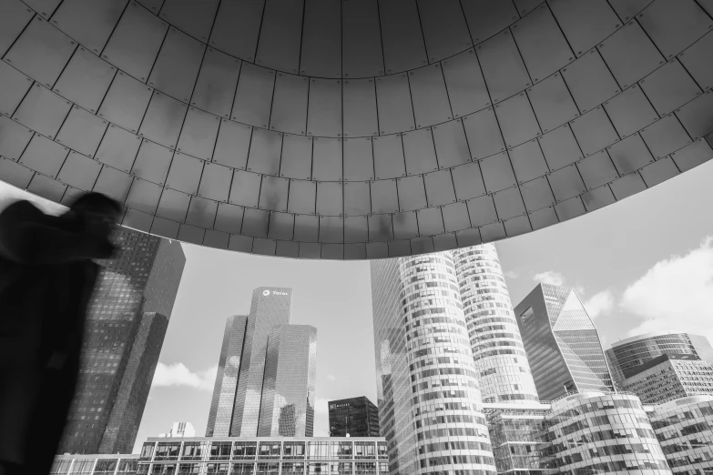 a black and white photo of skyscrapers in a city, by Daniel Gelon, domes, high quality image, rounded roof, pastel'