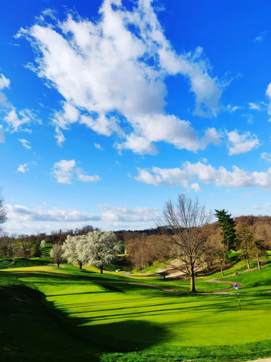 a golf course with green grass and trees, inspired by Shirley Teed, renaissance, promo image, blue skies, thumbnail, washington dc