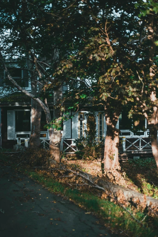 a white house sitting on the side of a road, a colorized photo, inspired by Elsa Bleda, unsplash contest winner, arts and crafts movement, walking through the trees, dimly lit cozy tavern, afternoon light, lush garden surroundings