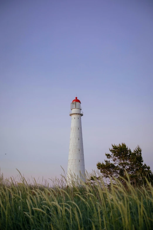 a white lighthouse sitting on top of a lush green field, tallinn, ayne haag, square, soft light - n 9