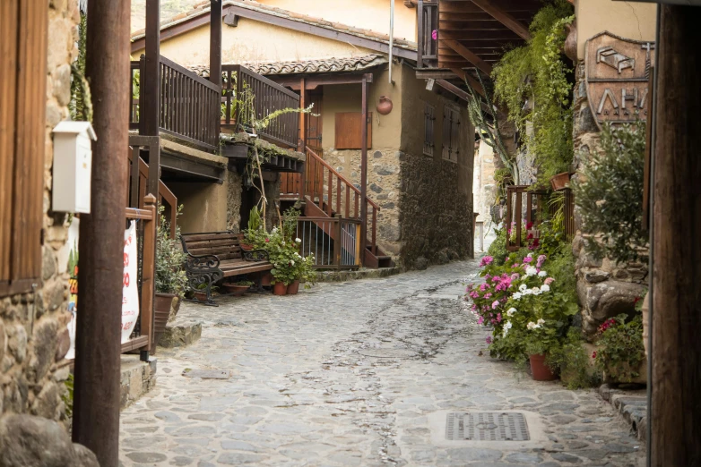a narrow cobblestone street with a building in the background, pexels contest winner, mingei, cottagecore hippie, flowers around, stamperia, pilgrim village setting