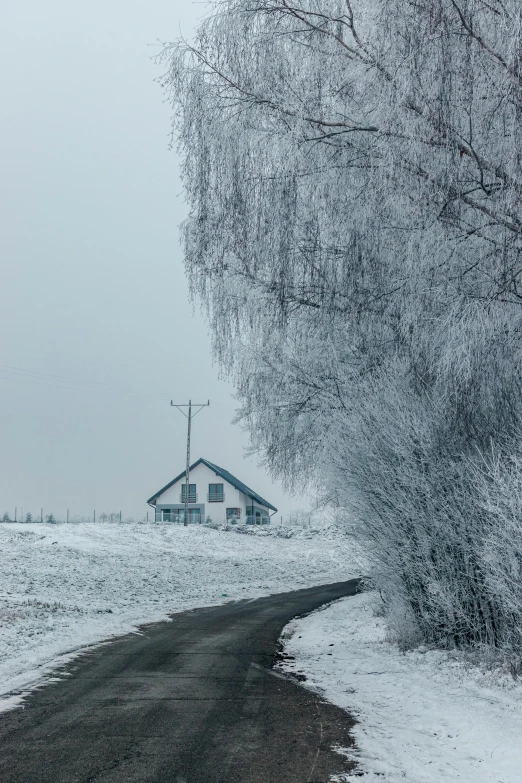 a road in the middle of a snow covered field, inspired by Isaac Levitan, pexels contest winner, house on a hill, grey, willows, reykjavik