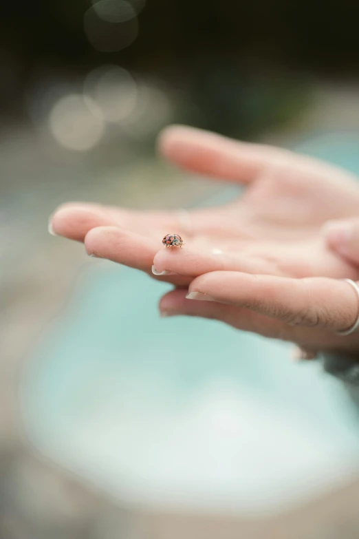 a close up of a person's hand with a ring on it, a macro photograph, unsplash, happening, ladybug, floating away, lynn skordal, small in size