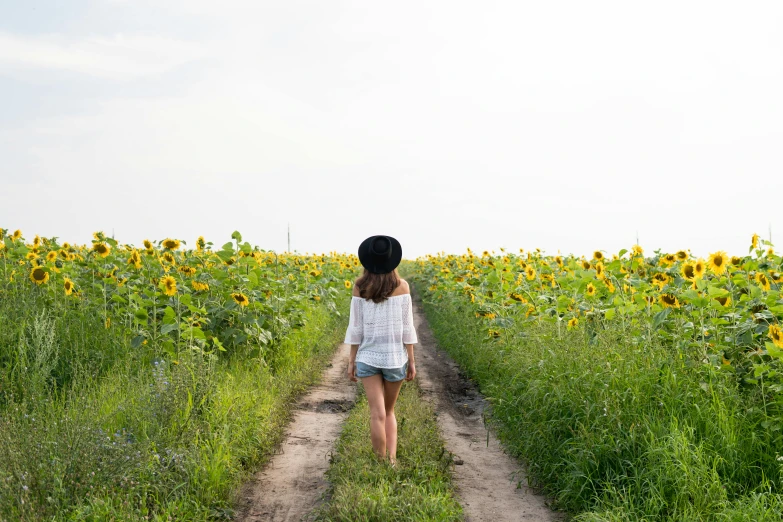 a woman walking down a dirt road through a field of sunflowers, pexels contest winner, minimalism, beautiful girl on the horizon, woman with hat, wearing a camisole and shorts, blossoming path to heaven