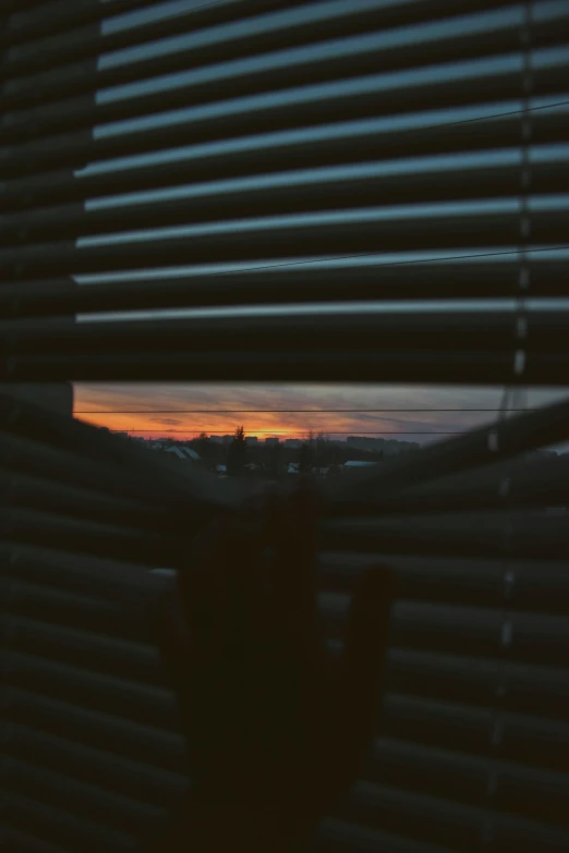 a cat looking out a window at the sunset, inspired by Elsa Bleda, pexels contest winner, soft light through blinds, todd hido, view from inside, tumblr aesthetic