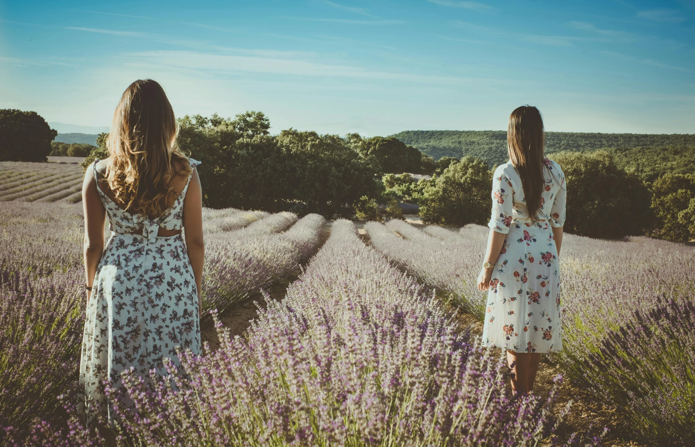 two women standing in a field of lavender, by Lucia Peka, pexels contest winner, looking out, instagram post, vintage photo, heath clifford