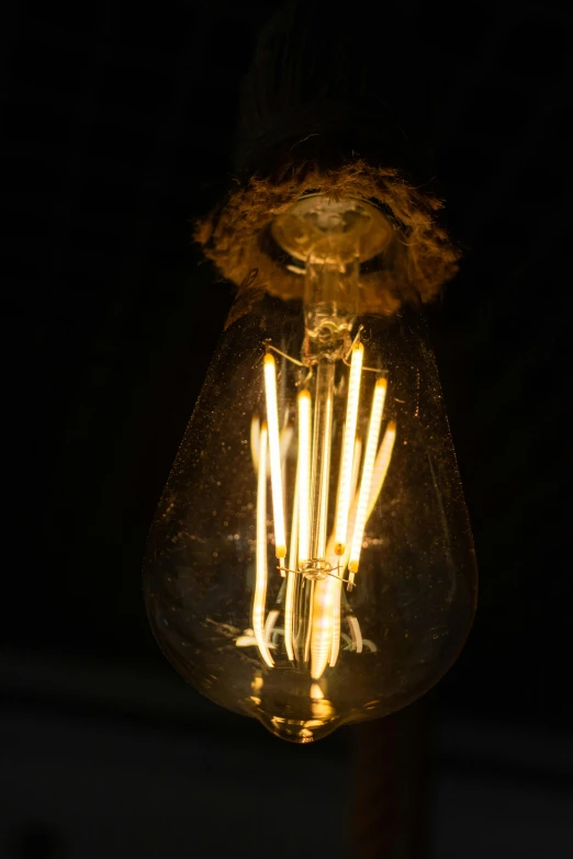 a close up of a light bulb in the dark, by David Simpson, renaissance, woven with electricity, vintage inspired, led details, 1920s studio lighting