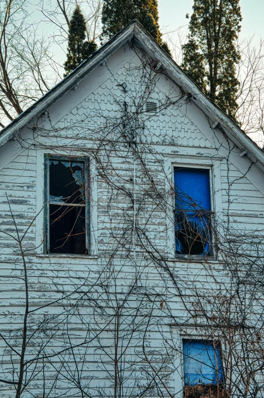 a white house with a bunch of trees in front of it, inspired by Gregory Crewdson, flickr, renaissance, vines and cracked wood, vibrant blue, closeup photograph, small windows