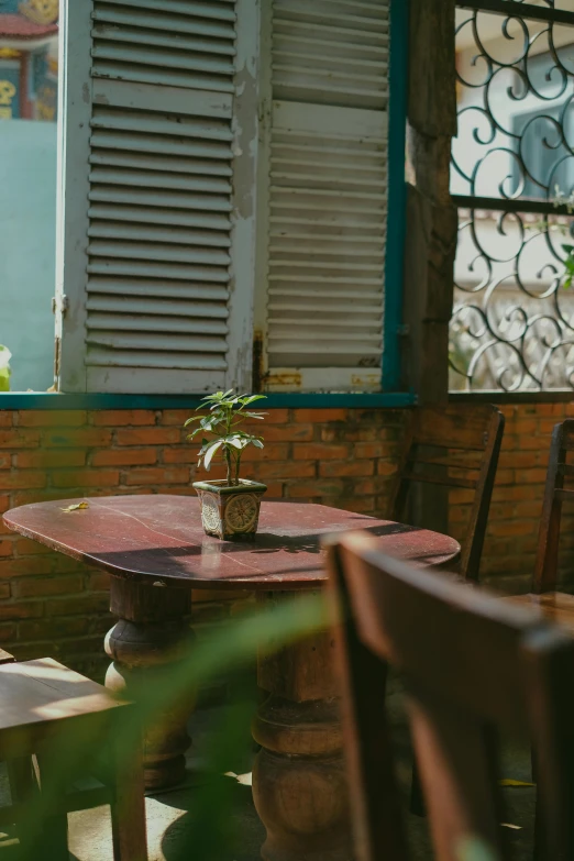 a potted plant sitting on top of a wooden table, bao phan, delightful surroundings, shutters, lo-fi