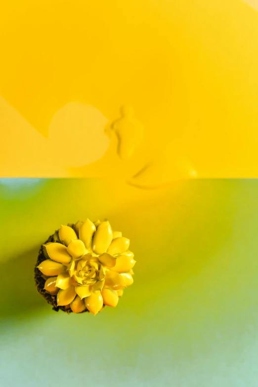 a yellow flower sitting on top of a table, inspired by Thomas Häfner, shutterstock contest winner, minimalism, glossy paint, embossed paint, high angle close up shot, colours