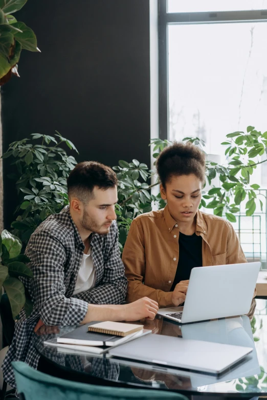 a couple of people sitting at a table with a laptop, trending on pexels, diversity, serious business, thumbnail, te pae