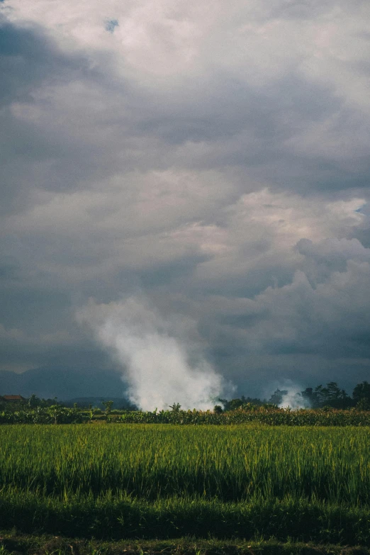 a green field with smoke coming out of it, inspired by Elsa Bleda, sumatraism, fire in background, philippines, grey cloudy skies, smoke from mouth