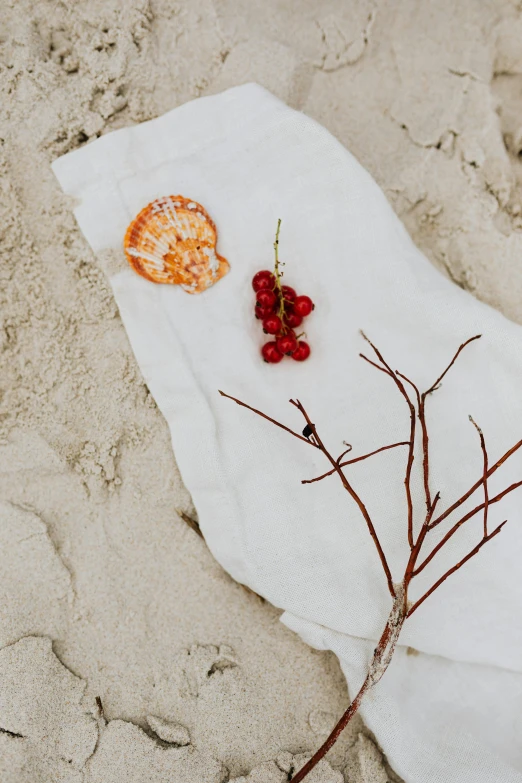 a white towel sitting on top of a sandy beach, a still life, by Kristin Nelson, unsplash, land art, berries decoration on the dress, branches, carved in white marble, white backdrop