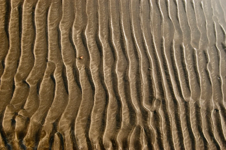 a close up of sand and water on a beach, an album cover, inspired by Edward Weston, op art, deep wrinkles!, rough wood, glassy reflections, vertical lines